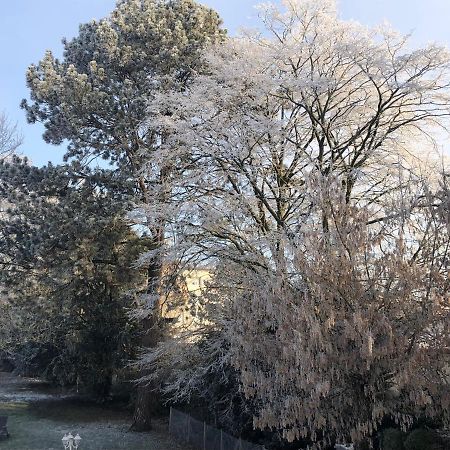 Le Jardin De Fresnes Bed & Breakfast ภายนอก รูปภาพ